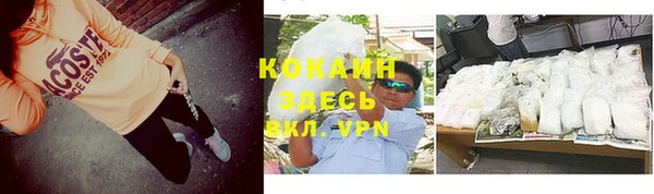 сатива Верхний Тагил
