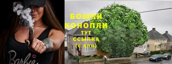 дурь Волосово