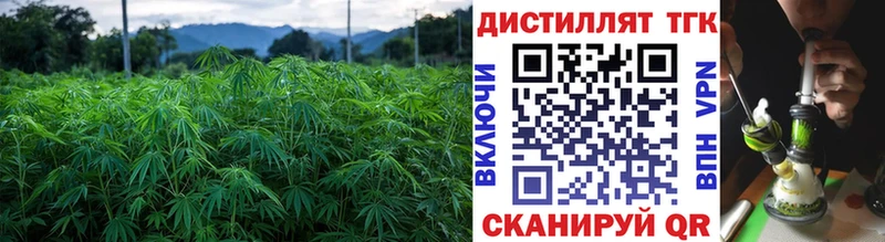 ТГК Wax  Домодедово 