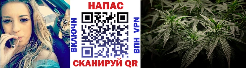 Бошки марихуана гибрид  Домодедово 